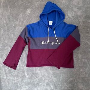 Champion color block reverse weave hoodie in Blue, Gray, and purple size XL